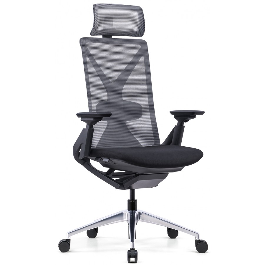 Fercula Executive Mesh Ergonomic Office Chair Black